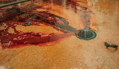 Jatka s prasaty - Nevinné oběti