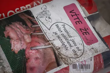 Víte že... - Nevinné oběti