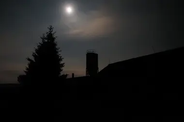 Velkochov s prasaty - Nevinné oběti
