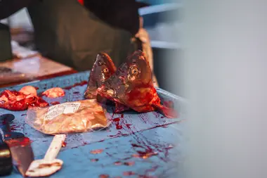 Hlavy zabitých kaprů během vánočních trhů - Nevinné oběti