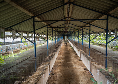 Prázdné klece v zavřené kožešinové farmě - Nevinné oběti