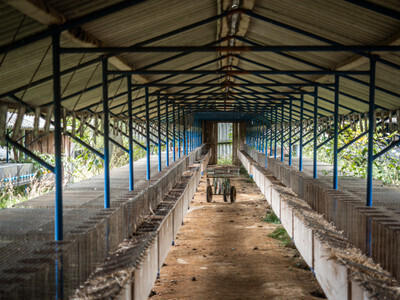 Prázdné klece v zavřené kožešinové farmě - Nevinné oběti