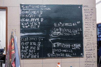 Informační tabule v dojírně - Nevinné oběti