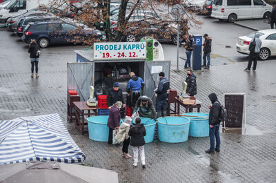 Stánek, v kterém prodávají a zabíjí kapry během vánočních trhů - Nevinné oběti