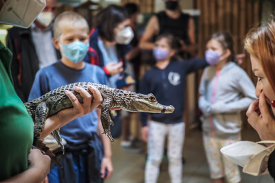 Krokodýlí Zoo v Praze - Nevinné oběti