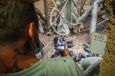 Šimpanzi v ostravské Zoo - Nevinné oběti