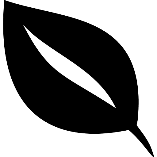 Petrol+CNG Fuel Type