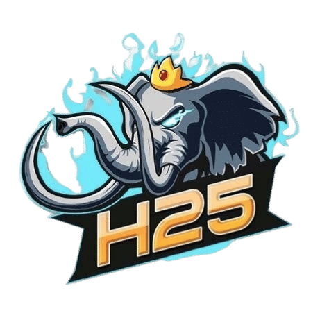 h25a.pages.dev favicon