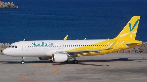 Japanese airline forces disabled man to crawl on-board