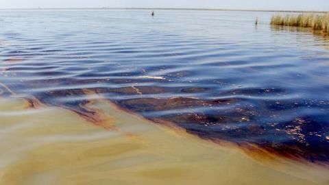 The Ennore oil spill