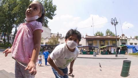 The swine flu situation in India