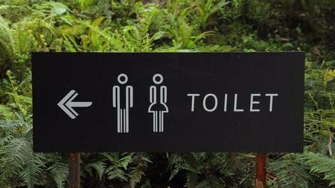 The Indian tradition of open defecation
