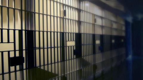 Prison overcrowding: Telangana will rent cells to others
