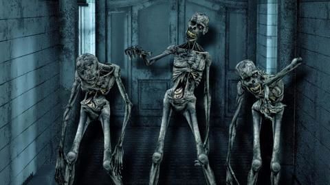 Ramsay brothers and the art of horror moviemaking