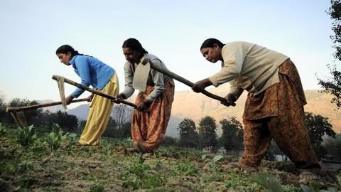 NITI Aayog's taxation theory needs a reality check?
