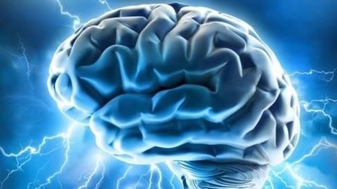 "GPS" neuron navigates scientists towards advanced Alzheimer's research
