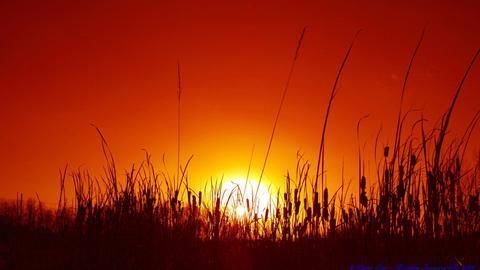 Second hottest May on record