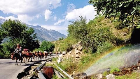 Tourism hit, jobs at stake in Kashmir Valley