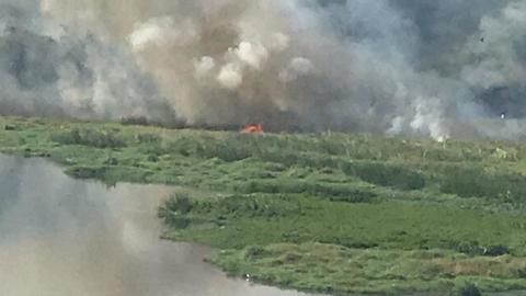 Bengaluru lake catches fire