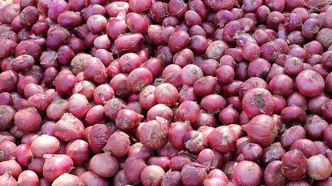 The power of an onion