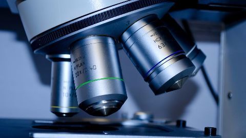 CSIR to self-fund projects