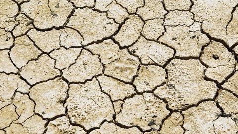 India's ailing agricultural sector