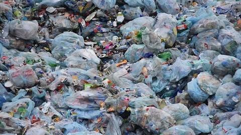 Anyone using plastic, thermocol will be penalized: Maharashtra-Govt