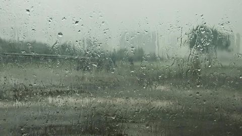 Predicting the monsoons