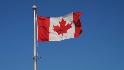 Punjab's assembly election campaign in Canada