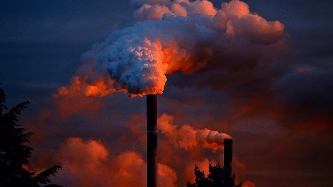 WHO air quality survey results
