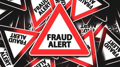 Global fraud report