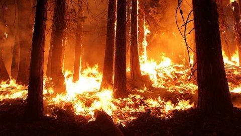 The deadly Los Angeles' Sand Fire