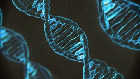 Science breakthrough: DNA-based human facial reconstruction