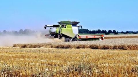 Monetizing farm waste?