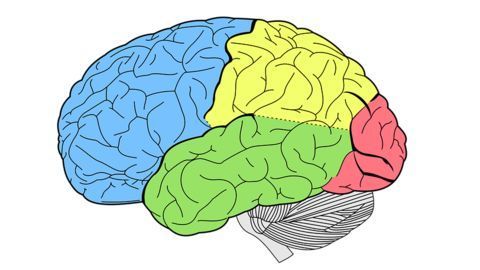 Neuroscience study which identifies potential criminals!