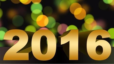 2016 Year in Review for India's unicorns
