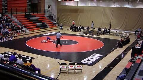 Wrestling makes progress in Haryana