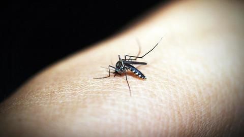 Indian government's silence on Zika