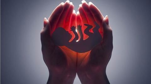 Who has the right over a woman's body?