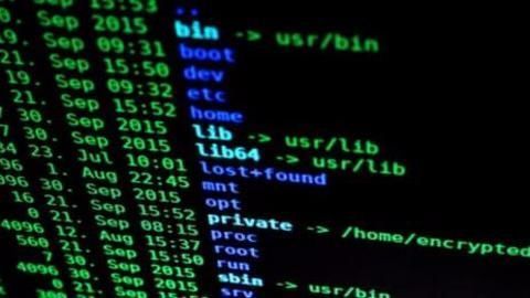 The security team behind BHIM