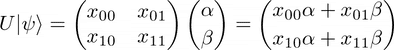 quantum1_u