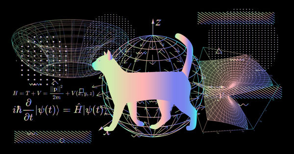 深層強化学習は量子猫の夢を見るか?