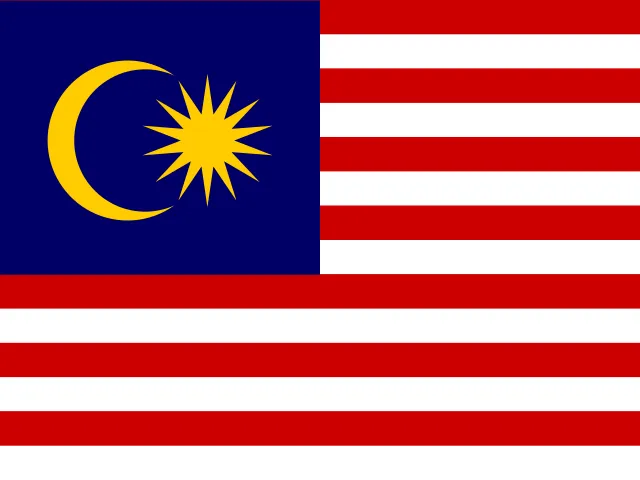 Flag MS