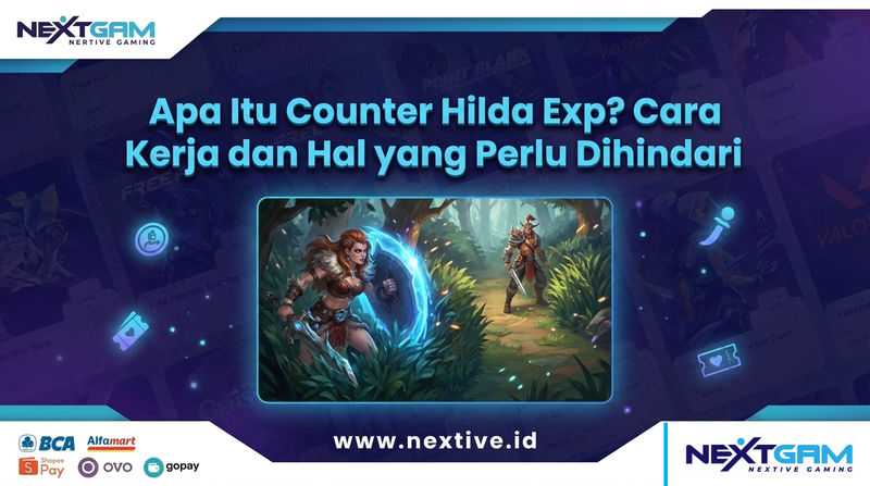 Apa Itu Counter Hilda Exp? Cara Kerja dan Hal yang Perlu Dihindari