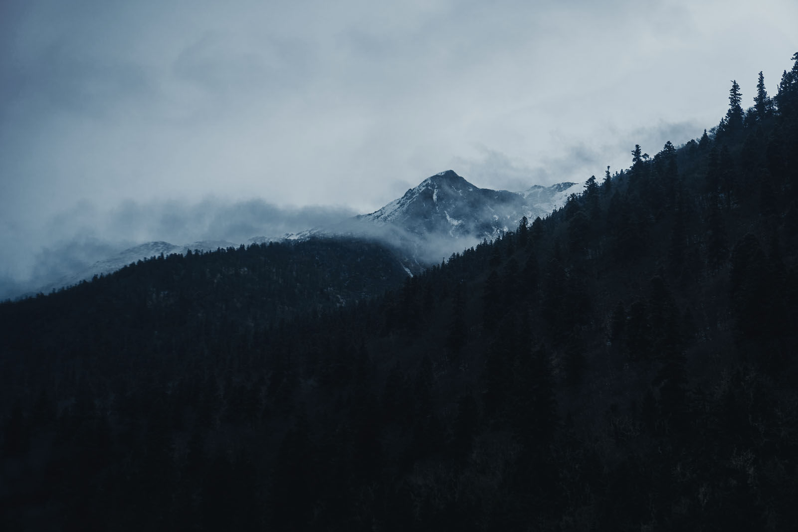 an image with full screen width