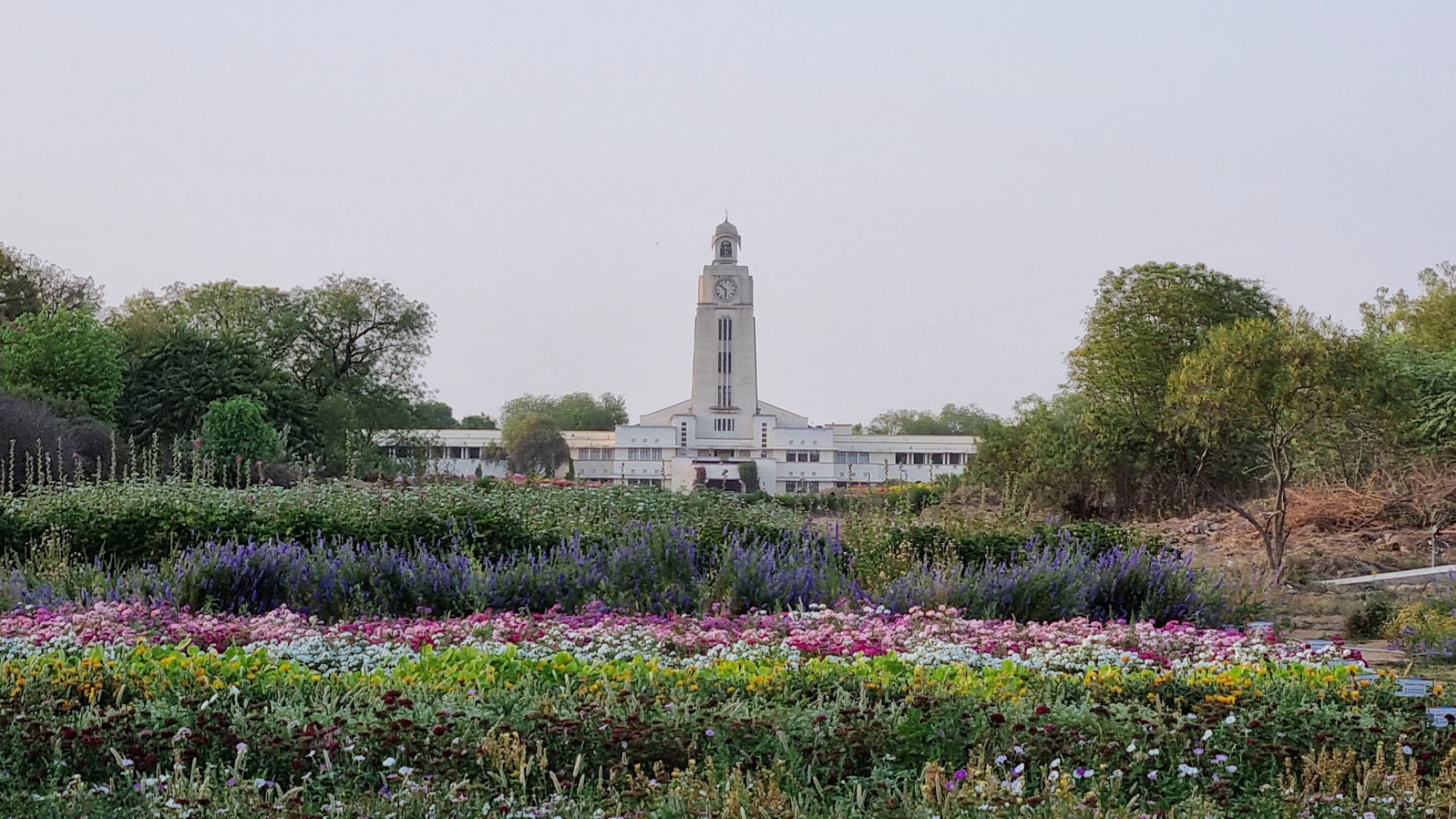 Pilani
