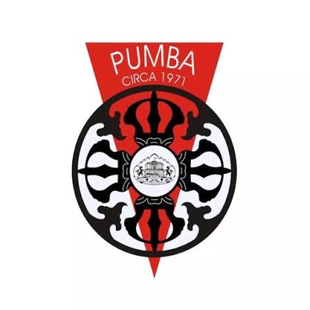 Department of Management Sciences Pune University PUMBA