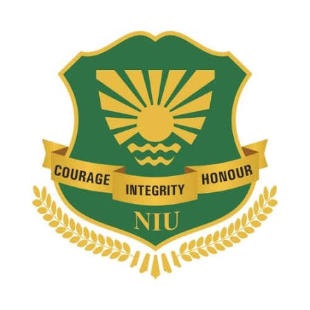 Noida International University