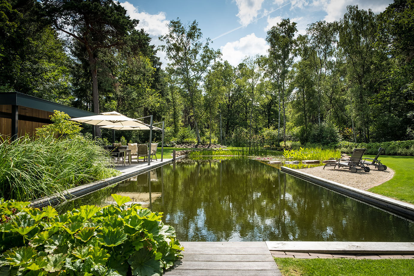 Bruggeman-hoveniers-tuinaanleg-vijver-aanleggen-6