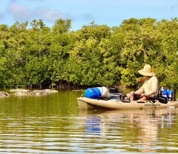 Mike Conneen paddles among crocodiles in the Everglades backcountry.